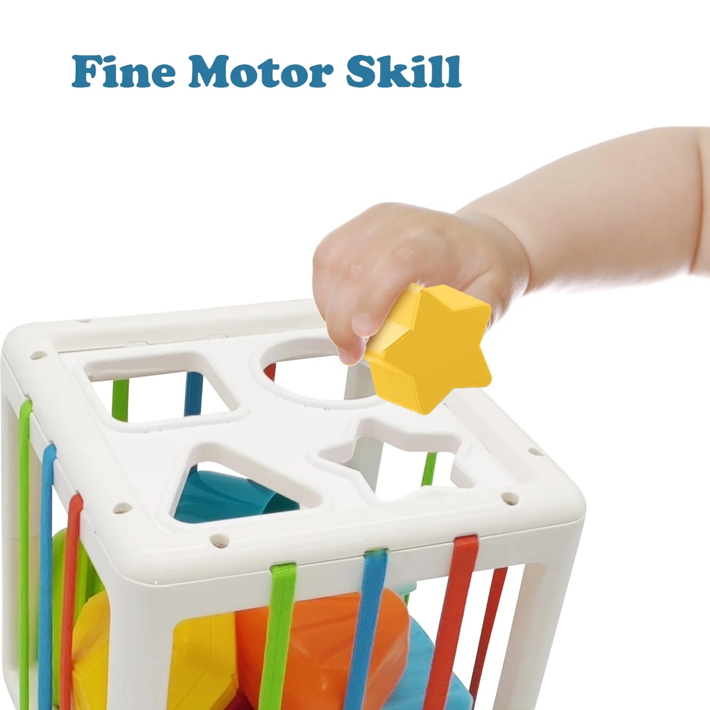 Shape Sorter Blocks Toy, Montessori Learning Toys