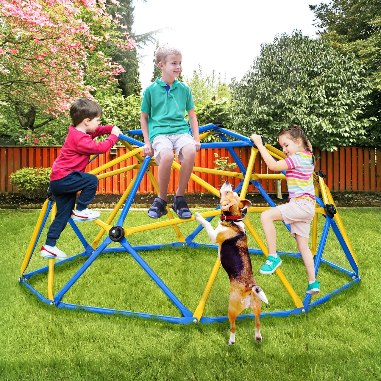 6FT Dome Climber, Jungle Gym for Kids 3-5 Year Outdoor Play Center, Supporting 600 Lbs Rugged and Interesting Climbing Dome, Yellow and Blue