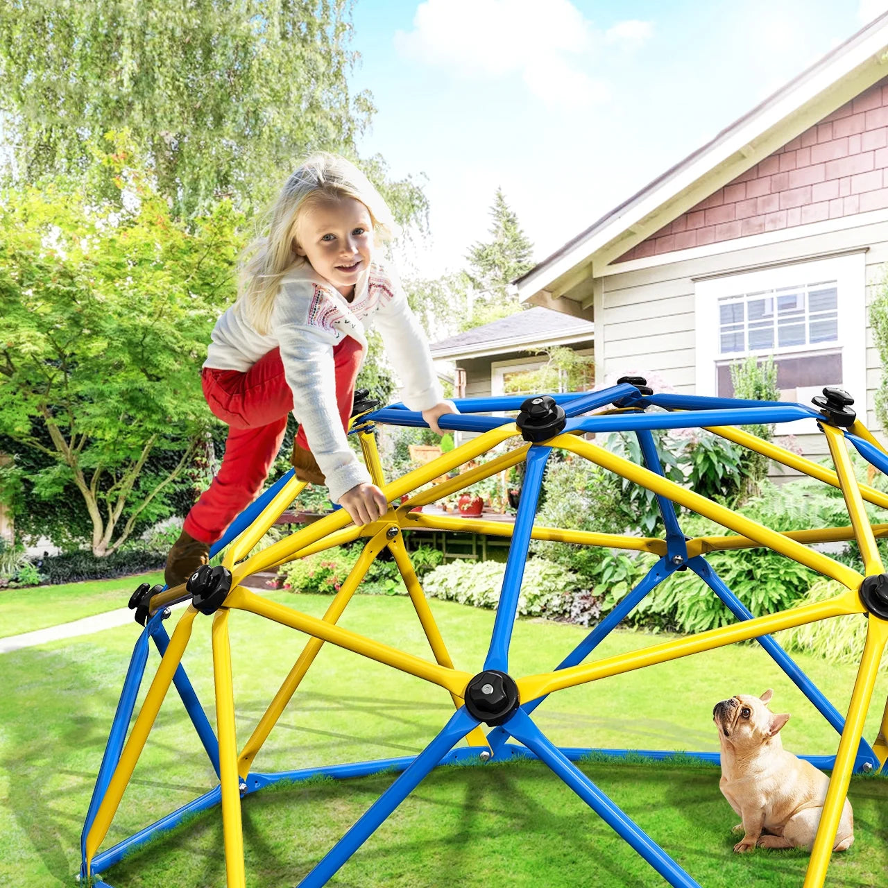 6FT Dome Climber, Jungle Gym for Kids 3-5 Year Outdoor Play Center, Supporting 600 Lbs Rugged and Interesting Climbing Dome, Yellow and Blue